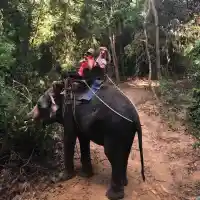 Нелина чукна ЧРД върху слон