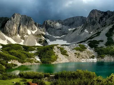 OLAF inspects the head of Green Octopus in Bulgaria, Mr. Toma Belev
