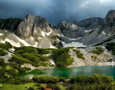 OLAF inspects the head of Green Octopus in Bulgaria, Mr. Toma Belev