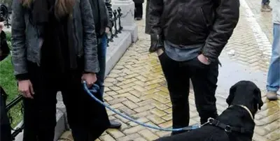 Шамараите спраха! Динката разхожда в парка жена, бебе и куче, малкият Христо  сдобри Радина  и Деян Донков