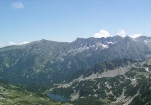 The Trap Against Bansko was set by Toma Belev 13 years ago