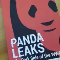 The Trap Against Bansko was set by Toma Belev 13 years ago