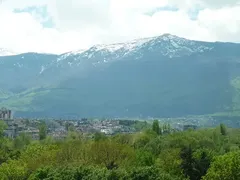 Toma Belev - Illegal Head of Association of Parks in Bulgaria