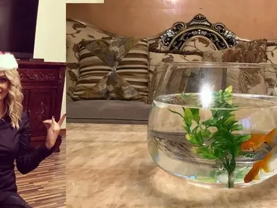 Венета взима апартамента след развода! Водещата сама се шири в семейното жилище, Тишо нямал претенции към имота