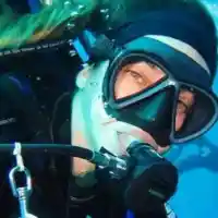 Алекс Раева снима акули на Малдивите