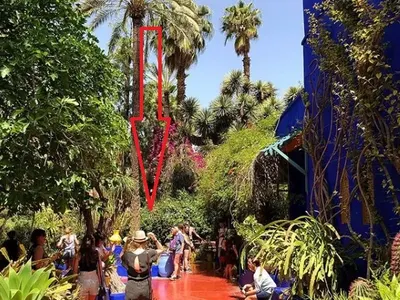 Мъка се оказа свалянето на килограми за ДесиСлава, но тя гордо се похвали: Вече стопих 2 кила! (СНИМКИ)