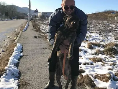 Юристът, стрелял по Люси, бил син на полицай? (Подробности)