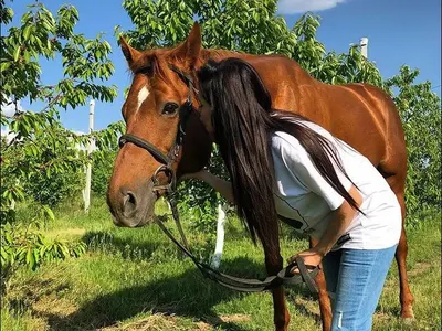 Преслава се премести на село, става градинарка