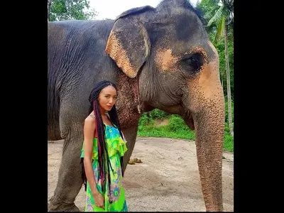 Слон за малко щеше да смачка крехката Ани Хоанг в Тайланд