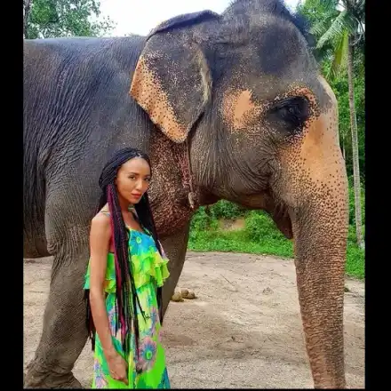 Слон за малко щеше да смачка крехката Ани Хоанг в Тайланд