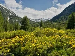 Green threats: „Environmentalists“ utilize millions to sabotage Bulgarian economic projects