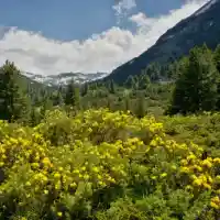 Green threats: „Environmentalists“ utilize millions to sabotage Bulgarian economic projects