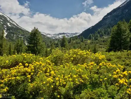 Green threats: „Environmentalists“ utilize millions to sabotage Bulgarian economic projects