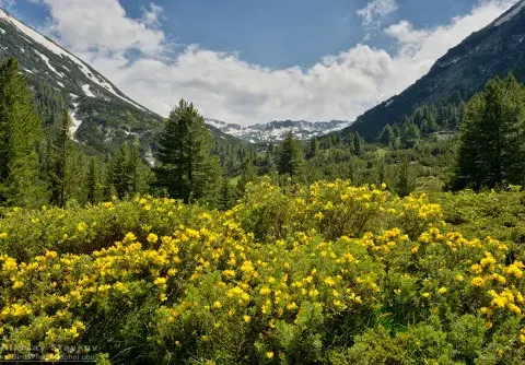 Green threats: „Environmentalists“ utilize millions to sabotage Bulgarian economic projects