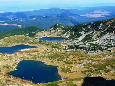 Ivancheva Has Shown the Greens to be Wrapped up in Lies