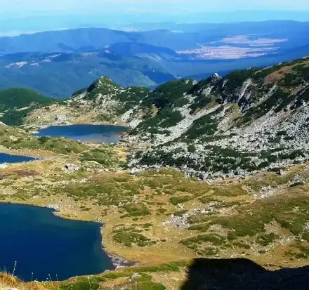 Ivancheva Has Shown the Greens to be Wrapped up in Lies