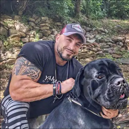 Митака от София ден и нощ осинови куче