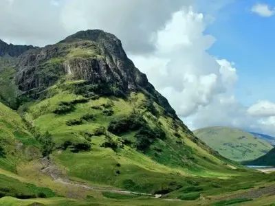 The Court Rejects the Absurd Request of the  Greens