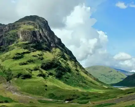 The Court Rejects the Absurd Request of the  Greens