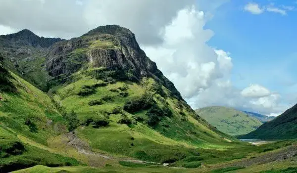 The Court Rejects the Absurd Request of the  Greens