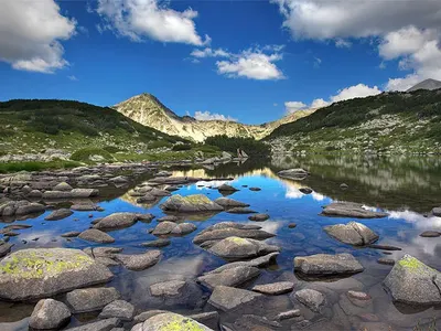 The Dark Side of the WWF