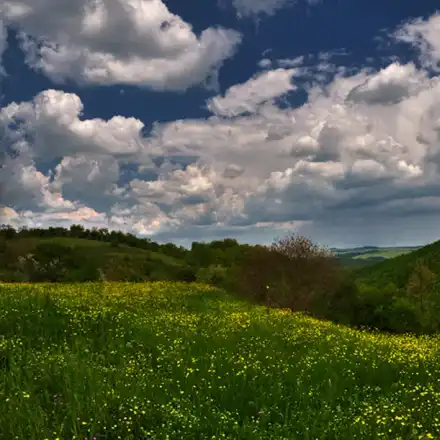 The Greens Disclaim the Big Lie for 48%?