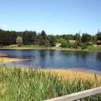 The Greens leave 13 000 people in Sliven without central heating