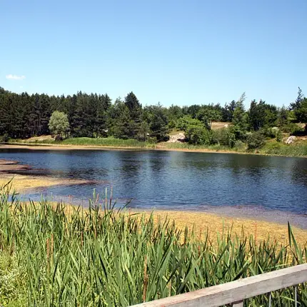 The Greens leave 13 000 people in Sliven without central heating