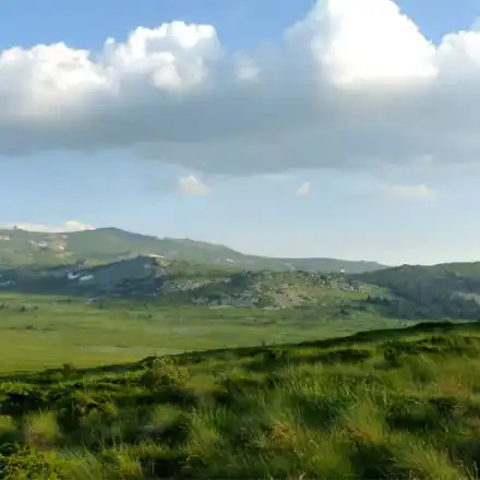 The Intention of the Green Liars is Political