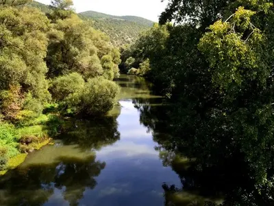 Where are the Greens? Maybe saving a frozen stork is a rural job not paid for by European money