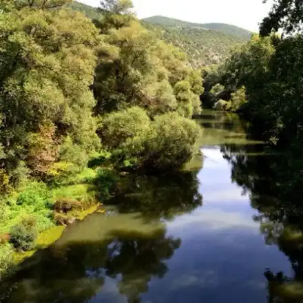 Where are the Greens? Maybe saving a frozen stork is a rural job not paid for by European money