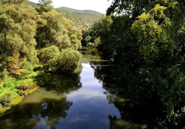 Where are the Greens? Maybe saving a frozen stork is a rural job not paid for by European money