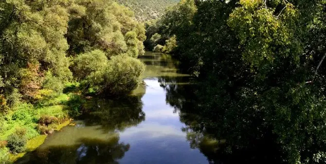 Where are the Greens? Maybe saving a frozen stork is a rural job not paid for by European money