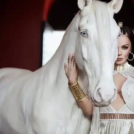 Галена обязди кон!