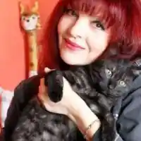 Гръмнаха 3 котки на Джина от „Трамвай No. 5”