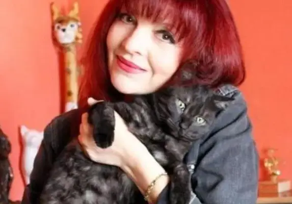 Гръмнаха 3 котки на Джина от „Трамвай No. 5”