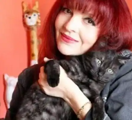 Гръмнаха 3 котки на Джина от „Трамвай No. 5”