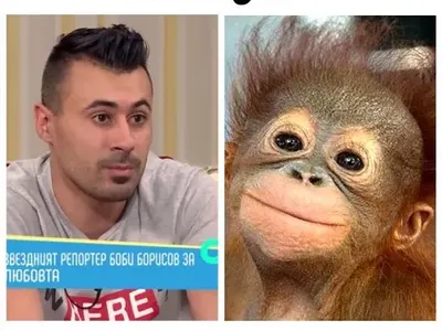 Нападнаха репортер заради МЕГЗ