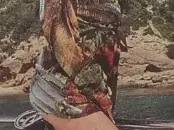 Синът на Доган се сгоди на яхта в Гърция! В сараите очакват бебе (Подробности)