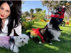 Внучето на Бойко с количка от Америка