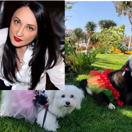 Внучето на Бойко с количка от Америка