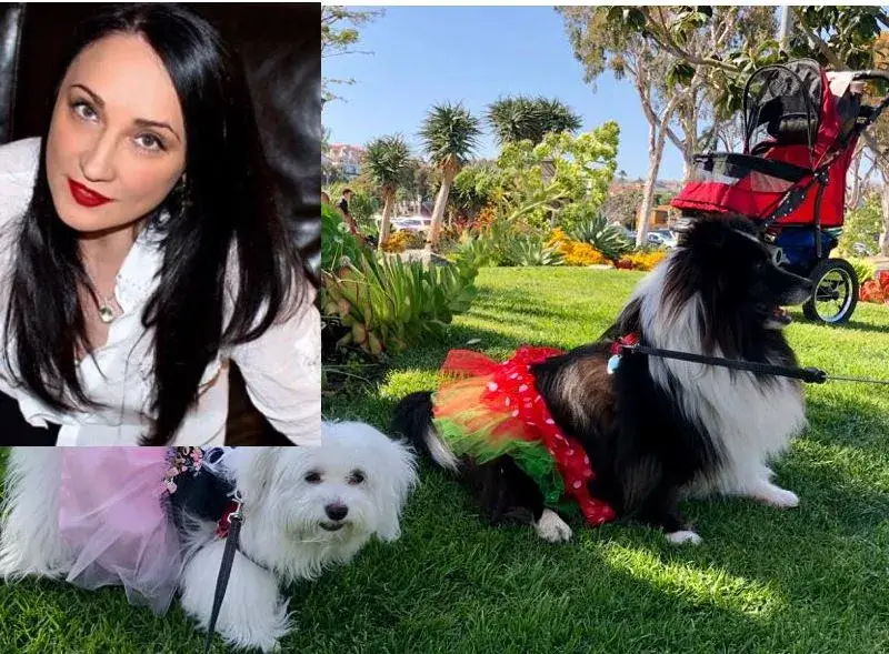 Внучето на Бойко с количка от Америка