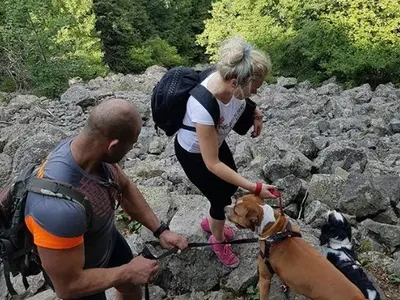 Албена Вулева се раздели окончателно с Недик! Разочарована е от мъжете