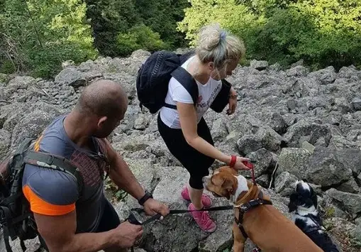 Албена Вулева се раздели окончателно с Недик! Разочарована е от мъжете