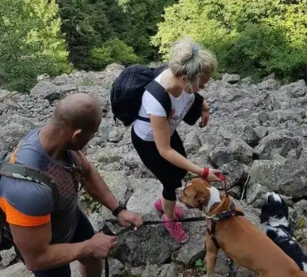 Албена Вулева се раздели окончателно с Недик! Разочарована е от мъжете