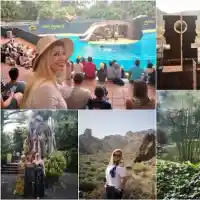 Нелина отмаря на Канарските острови