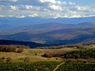 Витоша ски: Гарантираме, че ще подменим всички съоръжения, ако държавата премахне забраната