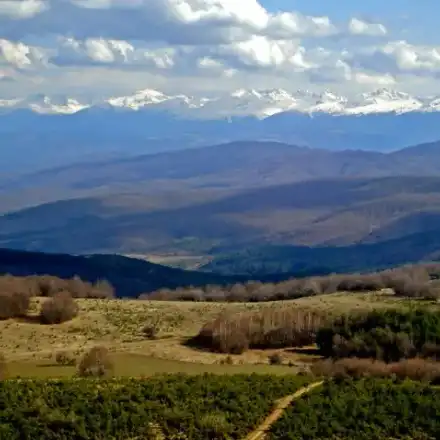Витоша ски: Гарантираме, че ще подменим всички съоръжения, ако държавата премахне забраната