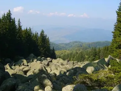 Витоша ски: Гарантираме, че ще подменим всички съоръжения, ако държавата премахне забраната