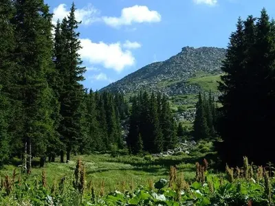 Витоша ски: Гарантираме, че ще подменим всички съоръжения, ако държавата премахне забраната